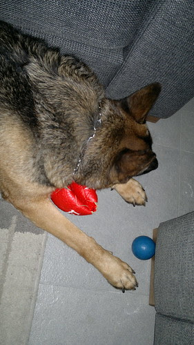 050220123459