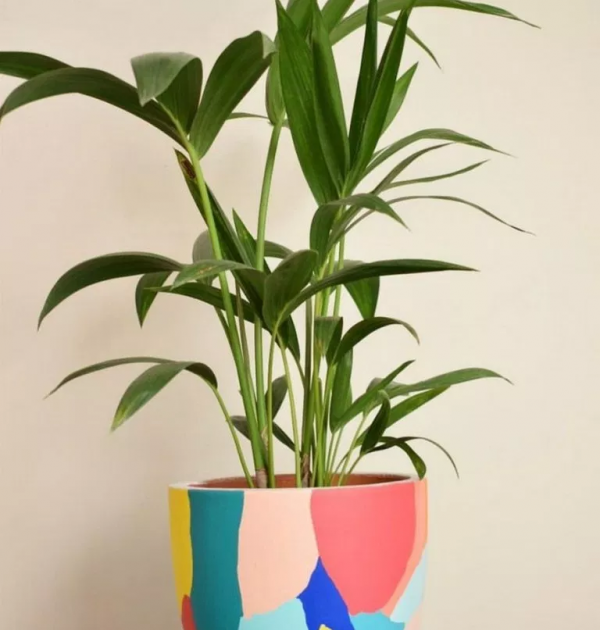 Where Can I Find Flower Pots Near Me Mbi Garden Plant