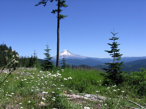 Mount Hood.JPG