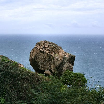 20060225-vs-8607