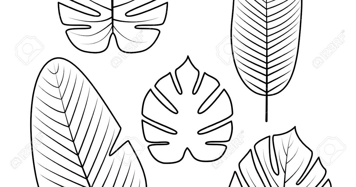 CRMla Outline Jungle Leaves Clipart Black And White