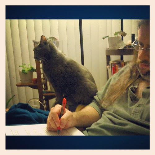 EditorCat puts his two cents in. #Lester #CatsOfInstagram #AmWriting