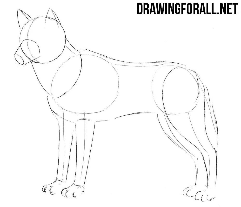Featured image of post Simple Wolf Ears Drawing