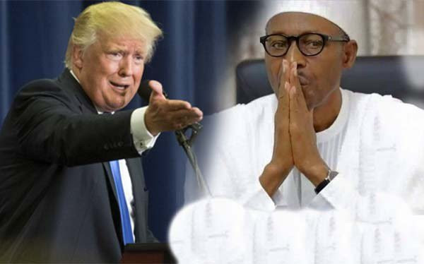 Image result for Buhari and Donald Trump