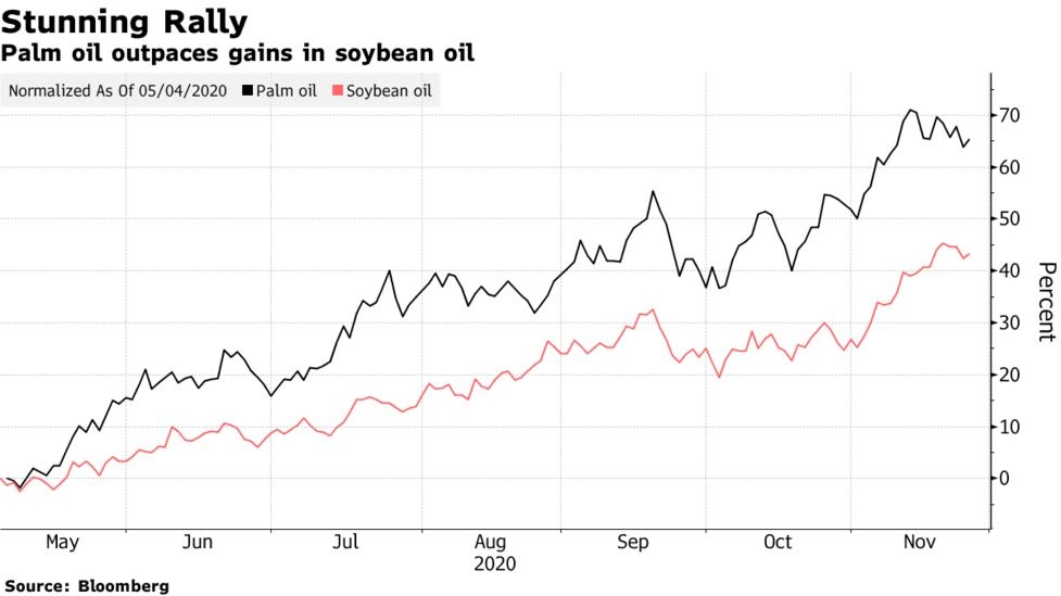 Palm Oil Price Malaysia