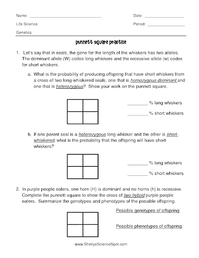 Monohybrid Cross Punnett Square Worksheet Answers Key Biology - 7