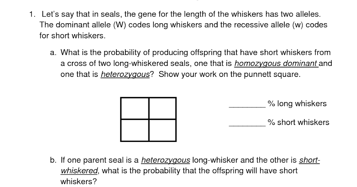 Genetics Worksheet Answers Key - worksheet