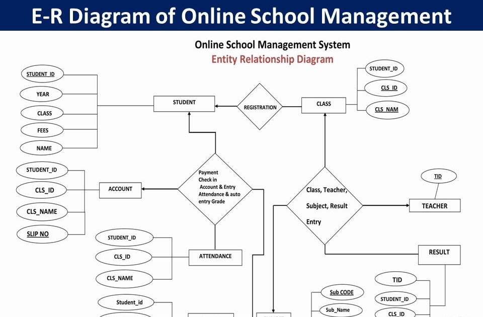 Er Diagram School Management System Database Design