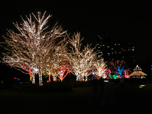 ZOO Lights , Chicago Lincoln Park Zoo (6)