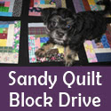 Sandy Quilt Block Drive