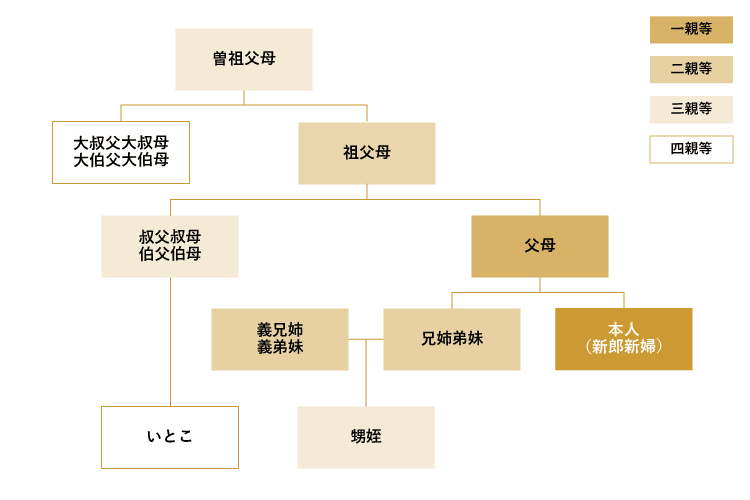 [10000ダウンロード済み√] 家 系図 いとこ 939065