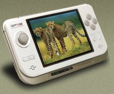 GP2X/