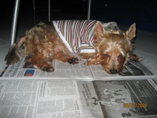 sleep-on-nwpp-02.jpg
