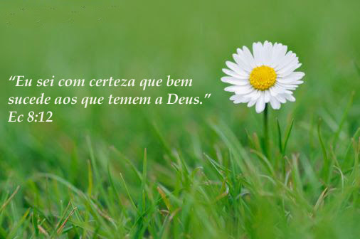 http://salmo37.files.wordpress.com/2010/11/87128615pia.jpg