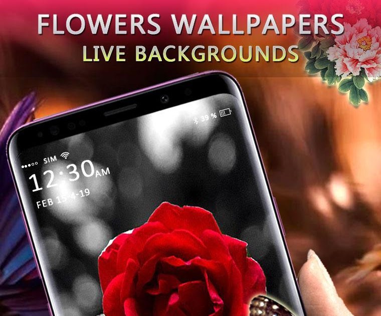 Wow 23 Wallpaper Bunga  Tulip  Bergerak Android Gambar 