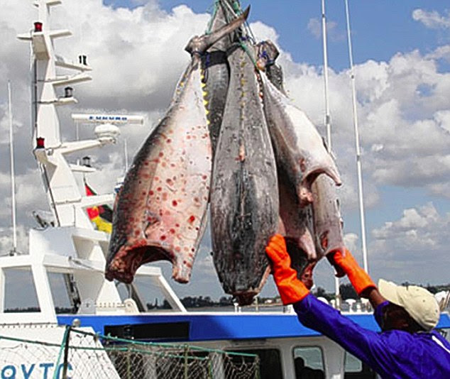 The secret loans were meant to fund a state-owned tuna-fishing firm in the impoverished country. Britain has since suspended aid to Mozambique