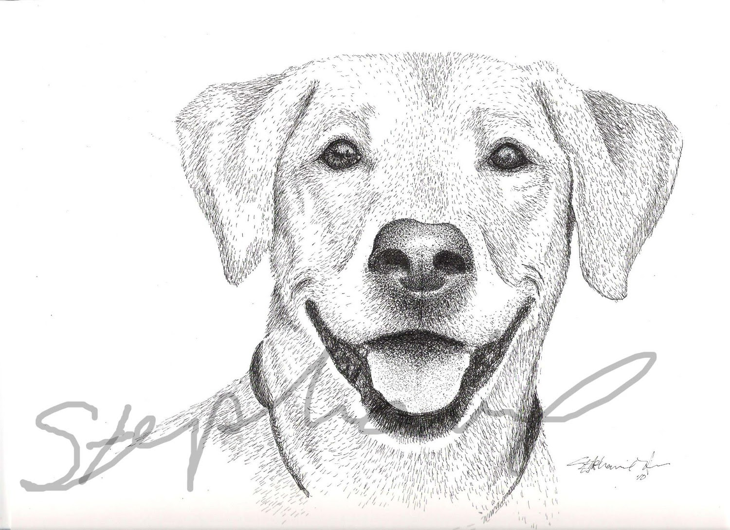 Realistic Dog Drawing Outline - canvas-site