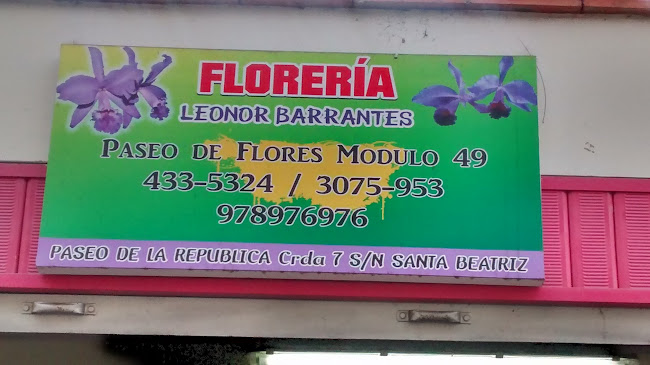 Floreria Leonor Barrantes - Lima