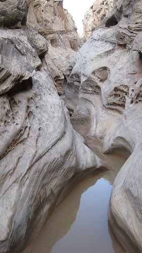 03.26.10 Farnsworth Canyon