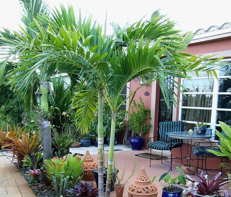 Florida Backyard Garden Design Ideas - Genese Web