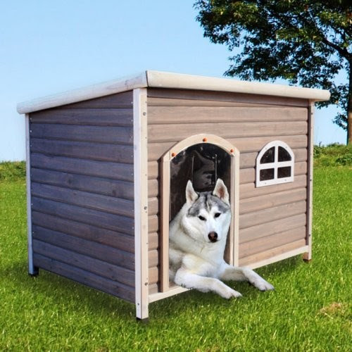 project-working-idea-flat-top-dog-house-plans