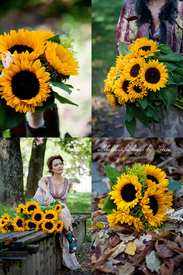Sunflower  ♥