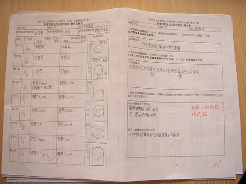 DSCN3302.JPG