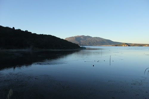 NZ 194