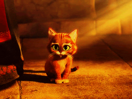 Get Kawaii Cute Cat Gif Wallpaper Pics