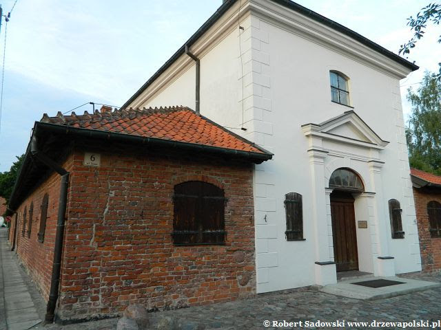 Ogród - herbarium przy Szpitalu Św. Ducha, Frombork Ogród - herbarium przy Szpitalu Św. Ducha we Fromborku