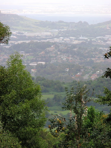 Wollongong view
