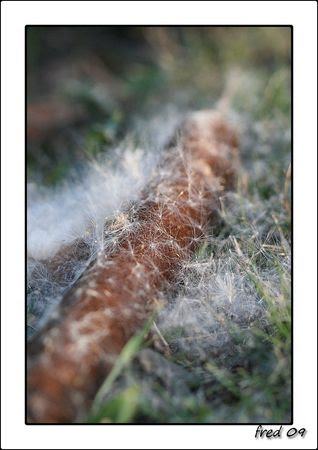 IMG_0755_sign_e