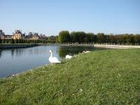 Free Image Hosting at www.ImageShack.us
