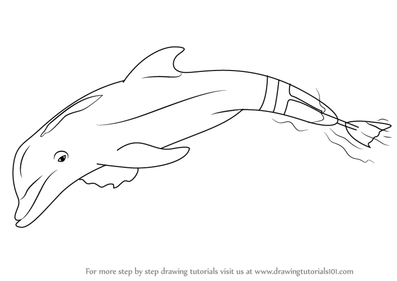 View Winter Dolphin Coloring Pages PNG - Super Coloring