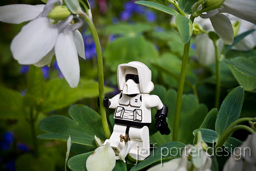 11-05lego11