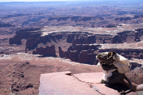 canyonlands