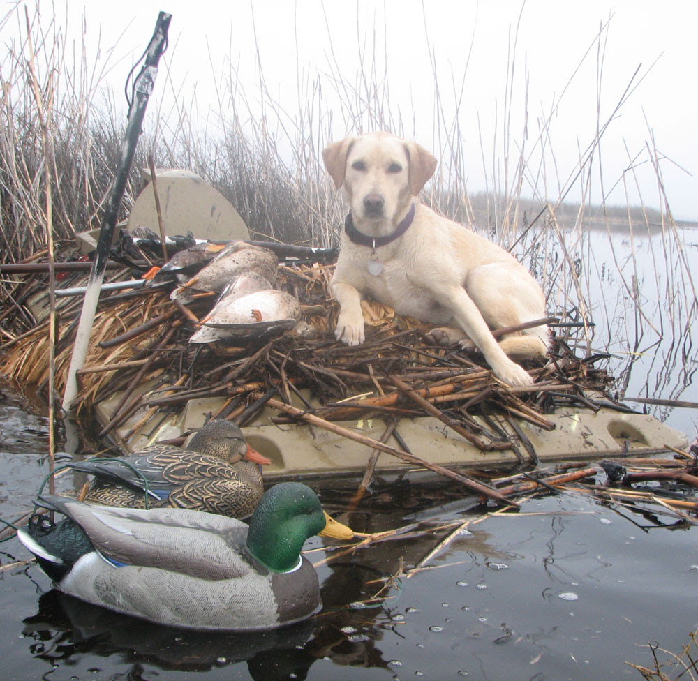 Real How to build a boat duck blind | Felder