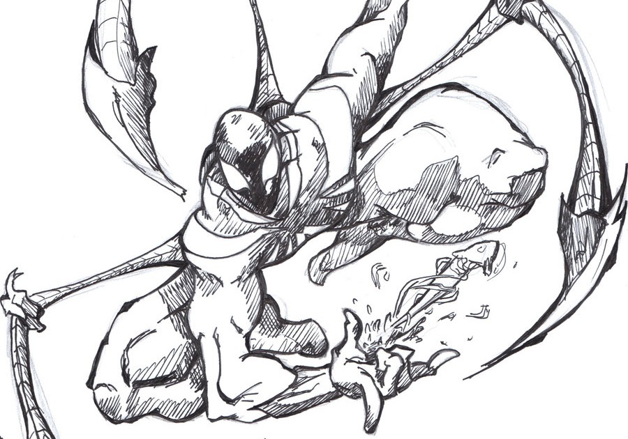 Wefalling: Iron Spider Drawing Easy Step By Step