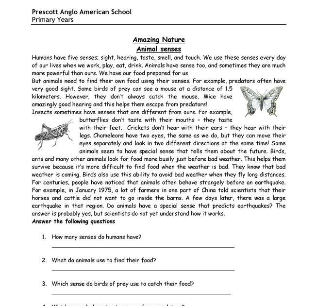 9th-grade-reading-comprehension-worksheet-grade-7-reading-comprehension-worksheets-pdf
