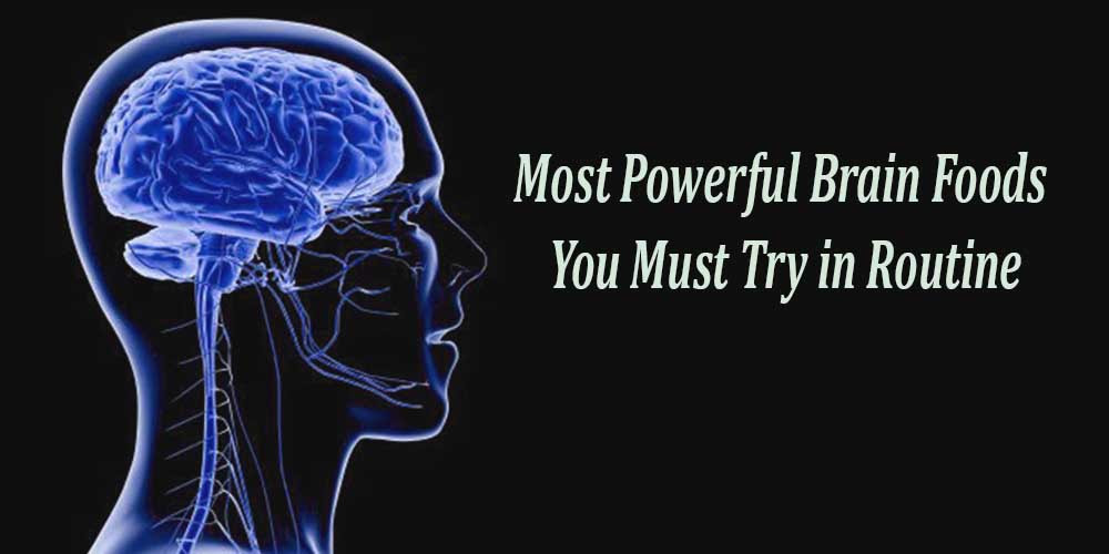 06 Best Foods to Boost Your Brain and Memory must use