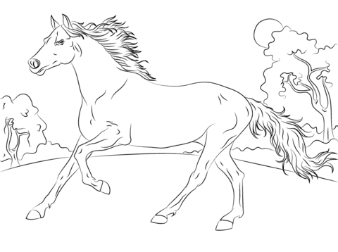 coloriage cheval dessin realiste pic toethumb de chat licorne
