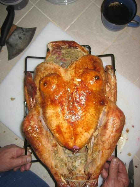 Daily Picdump Daily Picdump