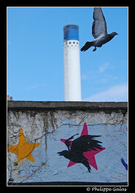 DSC_2448-border