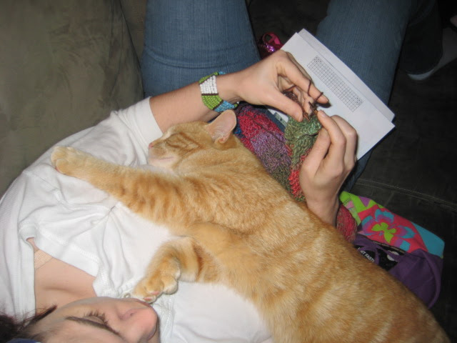 Knittin' with ma kitteh.