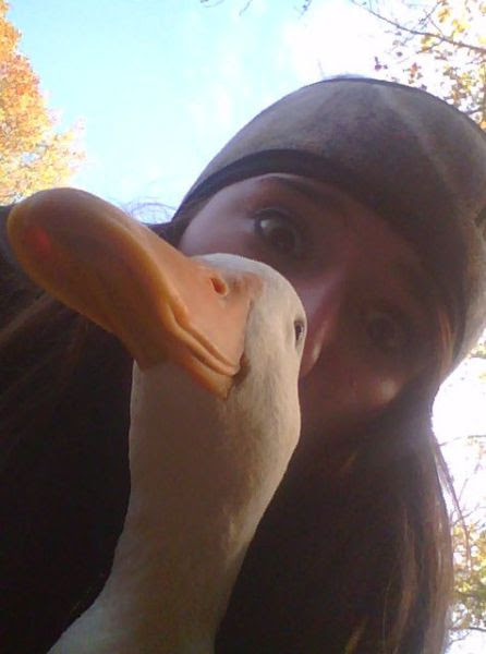 Daily Picdump Daily Picdump