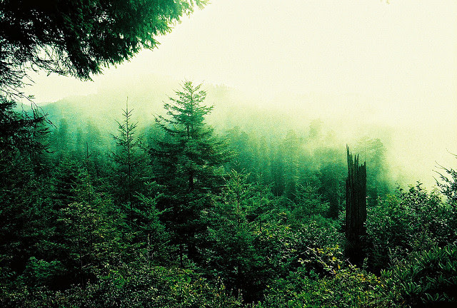 (via Untitled | Flickr - Photo Sharing!)