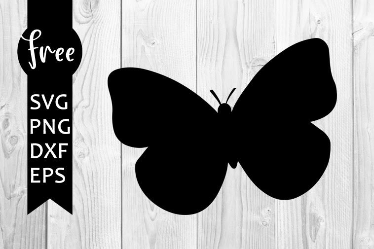 Free 156 Butterfly Name Svg SVG PNG EPS DXF File