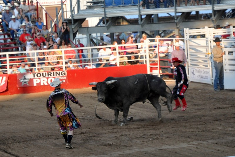 Bull Fighting Pbr Bullfighters