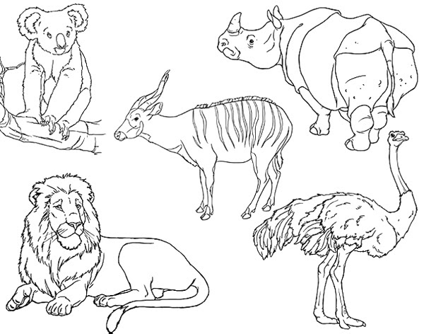 Triazs: Dibujos Colorear Animales Invertebrados