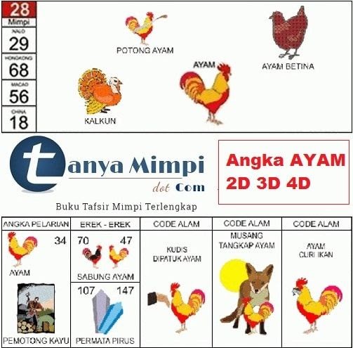 Mimpi burung bertelur togel